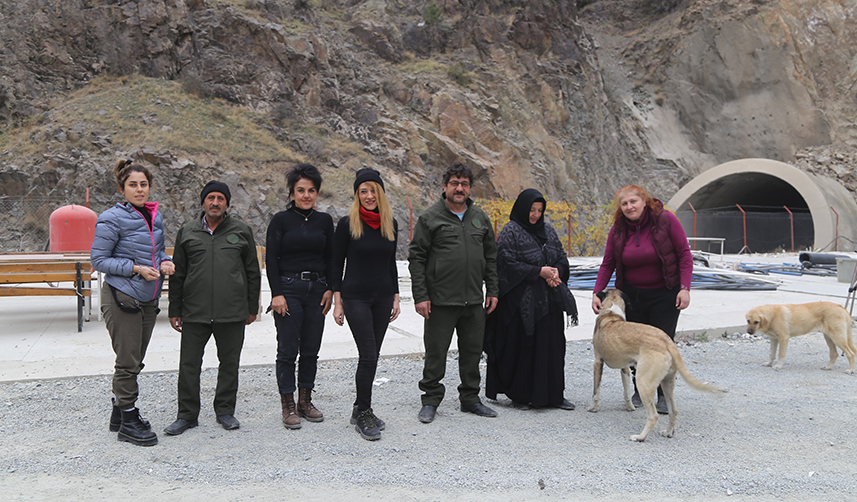Sular altında kalacak olan Yusufeli’nde sokak hayvanları da taşınıyor
