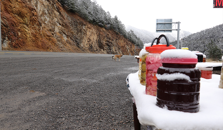 Zigana Dağı beyaza büründü