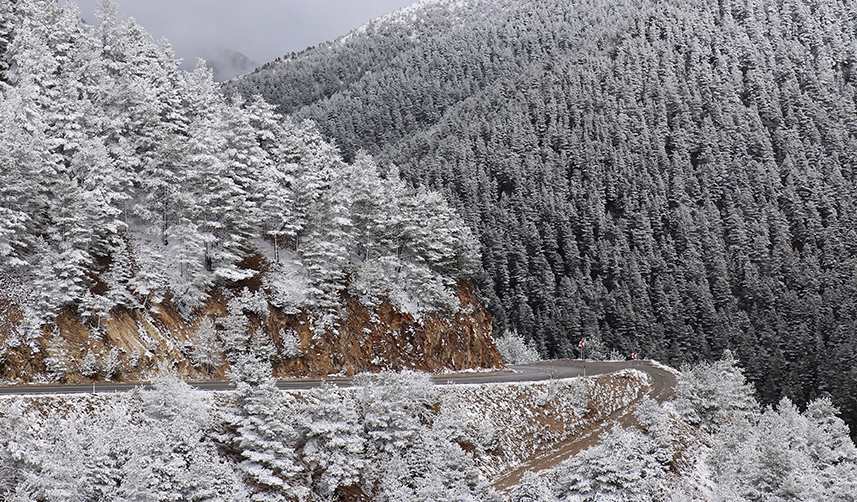 Zigana Dağı beyaza büründü