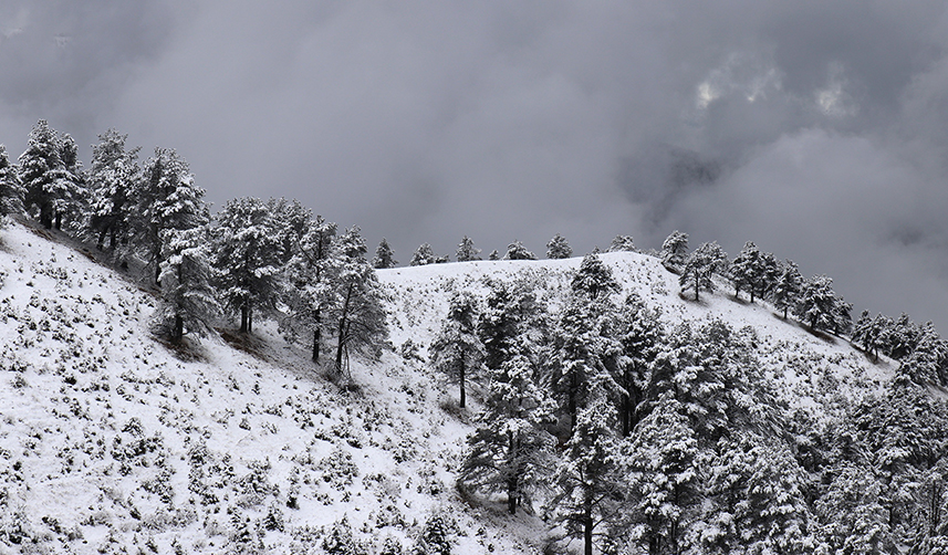 Zigana Dağı beyaza büründü