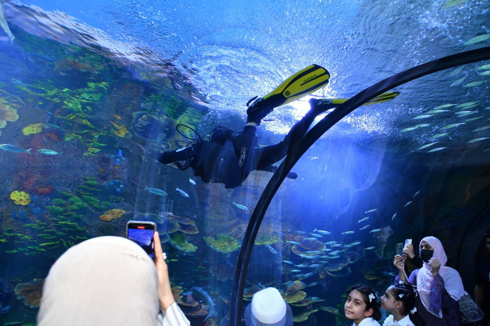 Trabzon'da Tünel Akvaryum'a yoğun ilgi! İşte ziyaretçi sayıları