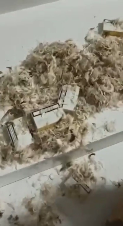 Trabzon'da operasyon! Kaçak elektronik sigaralar bakın nerede çıktı