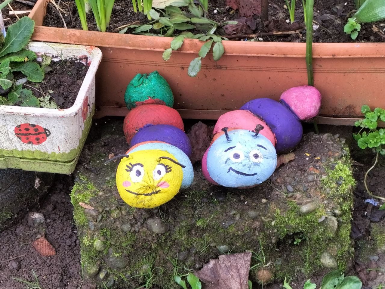 Artvin'de evinin bahçesinde ürettiği çiçekleri satarak kızını üniversitede okutuyor