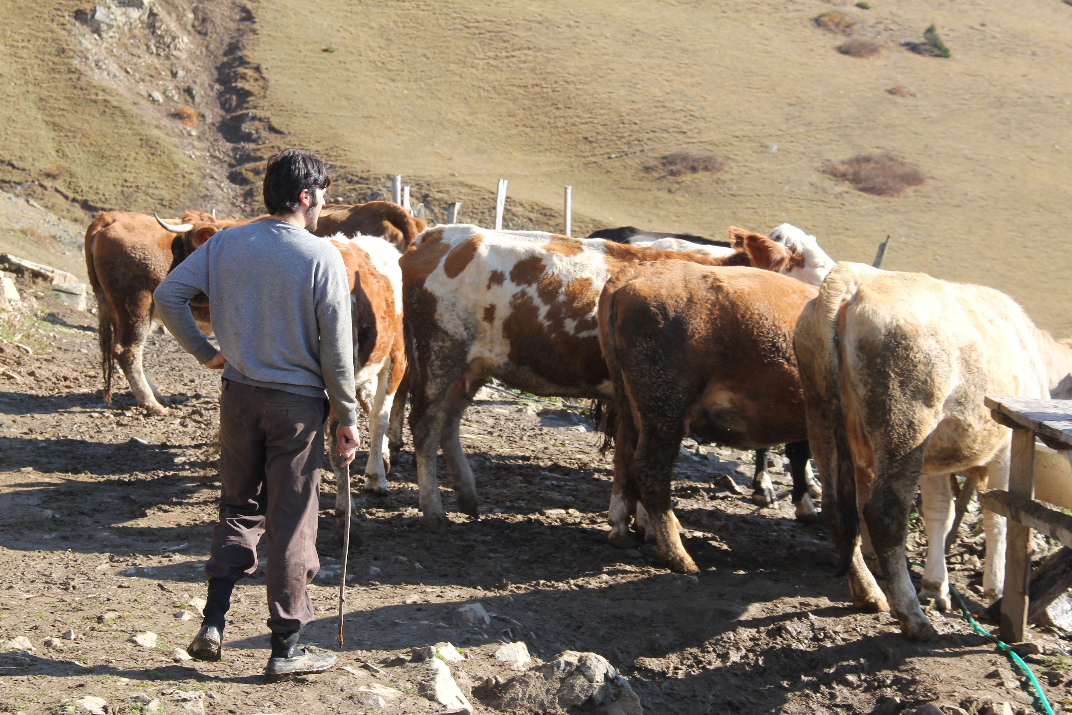 Üniversiteyi bitiren genç geçimini bakın nasıl sağlıyor