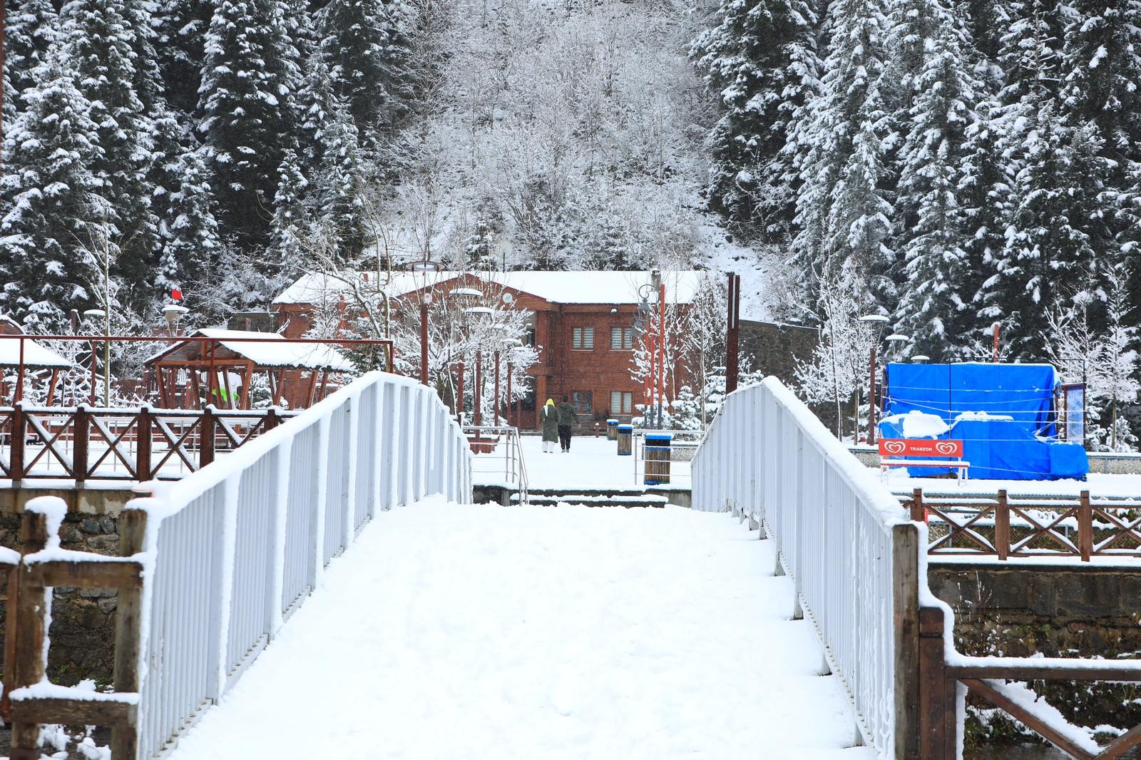 Uzungöl beyaza büründü! İşte o görüntüler