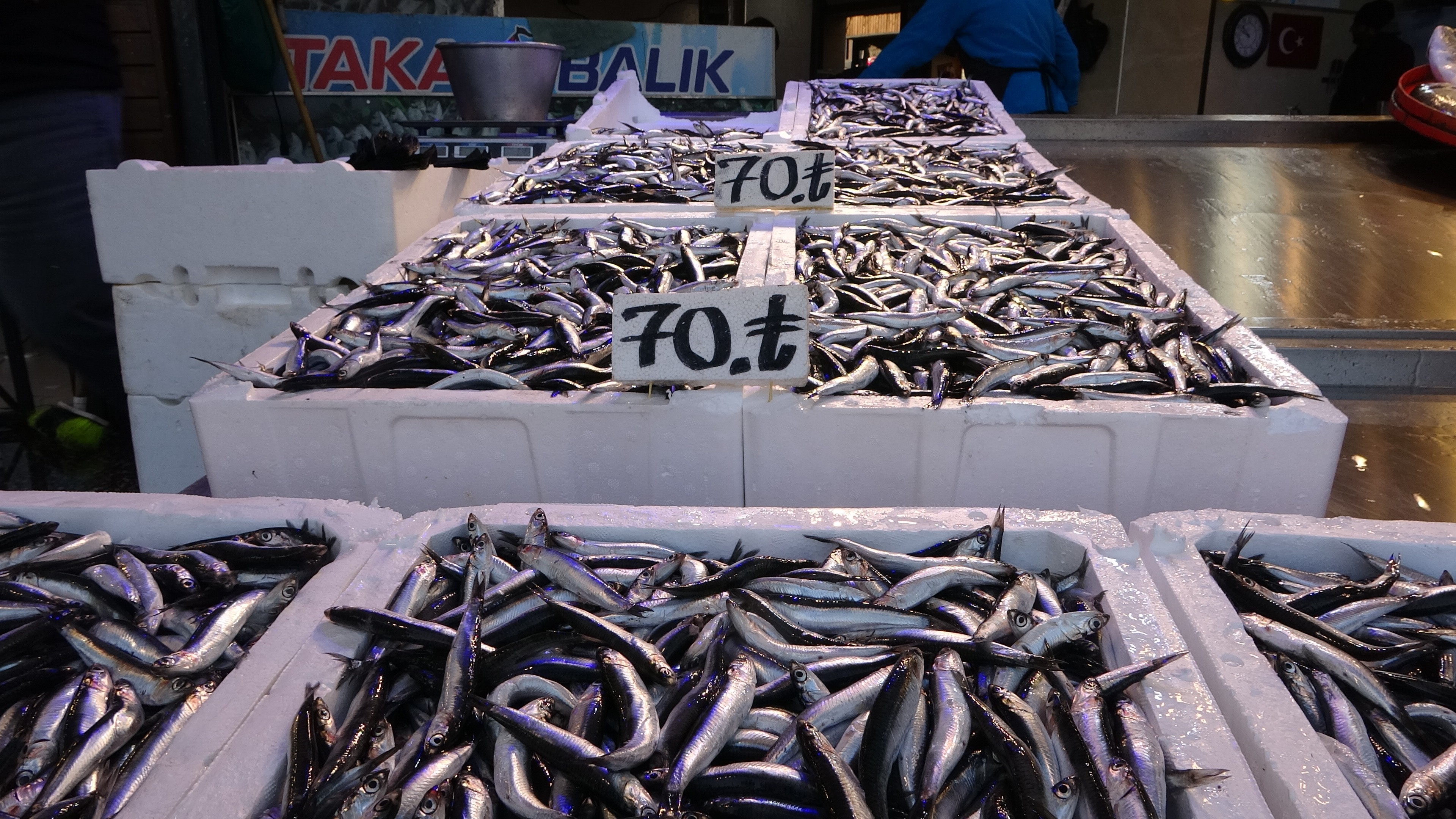 Trabzon'da hamsi sezonun en yüksek fiyatını gördü