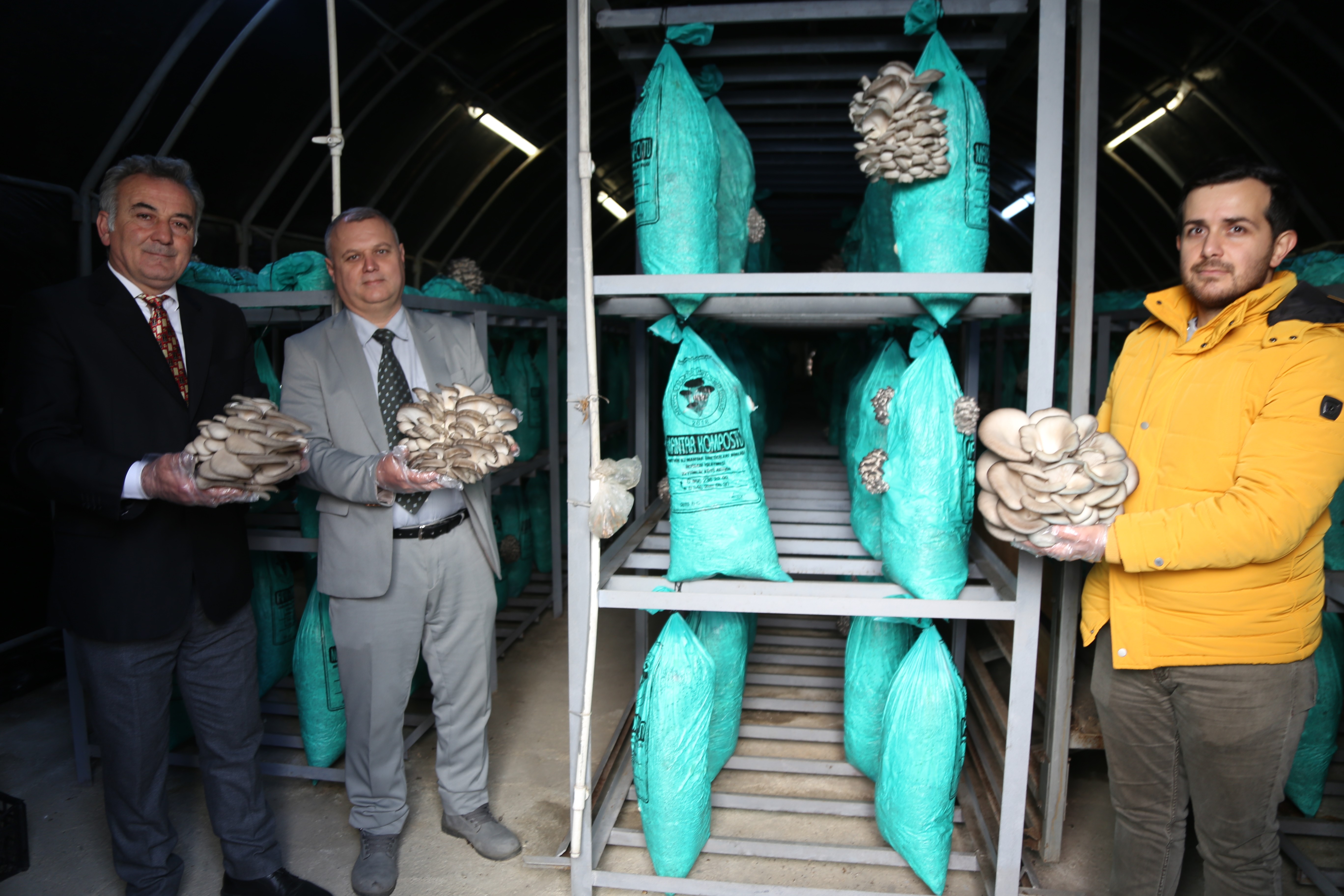 Artvin’de kullanılmayan tünel ekonomiye kazandırıldı! Bakın içeride ne yetişiyor