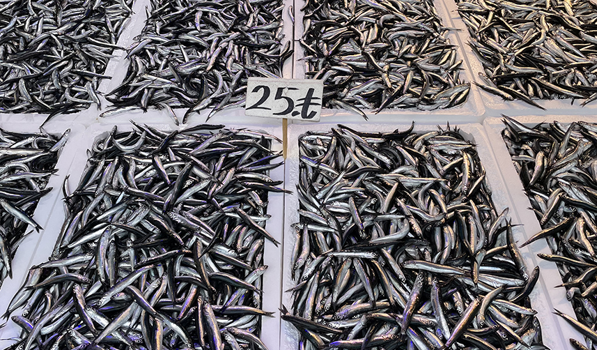 Yerli hamsi Trabzon'da tezgahlardaki yerini aldı