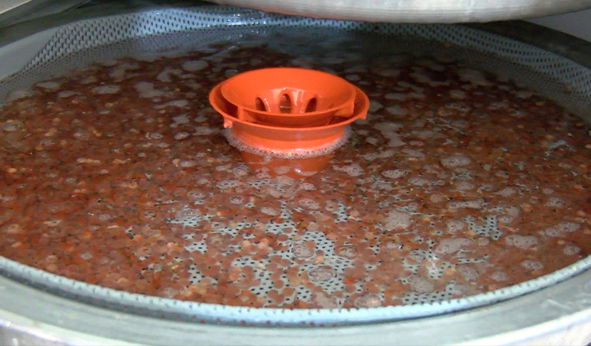 Kirliliğin-arttığı-akarsularda-alabalık-türleri-azalıyor-