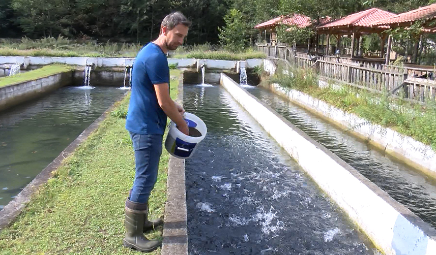 Kirliliğin-arttığı-akarsularda-alabalık-türleri-azalıyor-