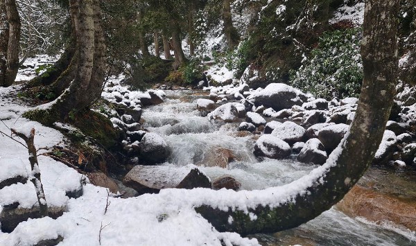 Rize'nin yüksek kesimlerine kar yağdı