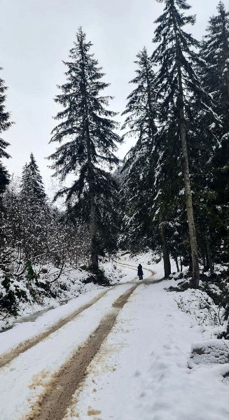 Rize'nin yüksek kesimlerine kar yağdı