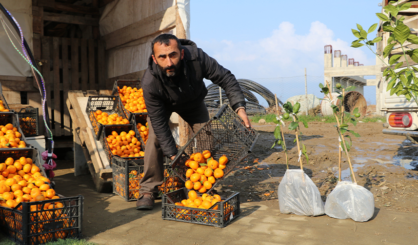 Tıpkı-çay-gibi-Rize'de-yetişiyor,-tüm-Türkiye-tüketiyor