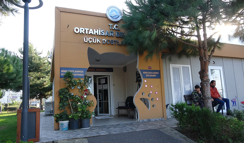 Trabzon’da ayakkabıları alan sokak köpeğine kaynar suyla saldırı