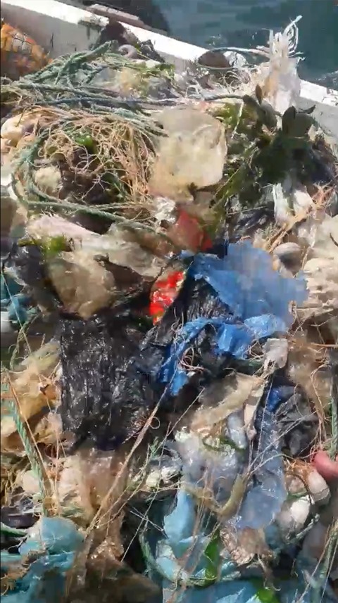 Trabzon'da balıkçılığa 'çöp' tehdidi