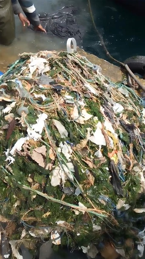 Trabzon'da balıkçılığa 'çöp' tehdidi