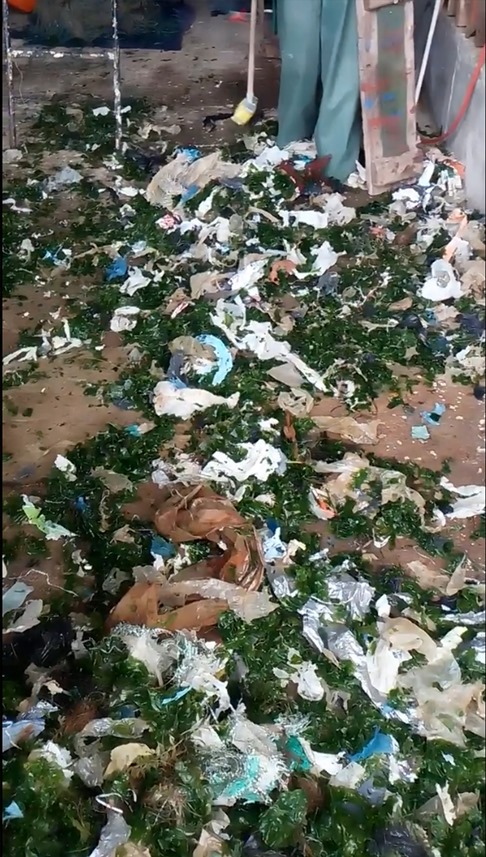 Trabzon'da balıkçılığa 'çöp' tehdidi