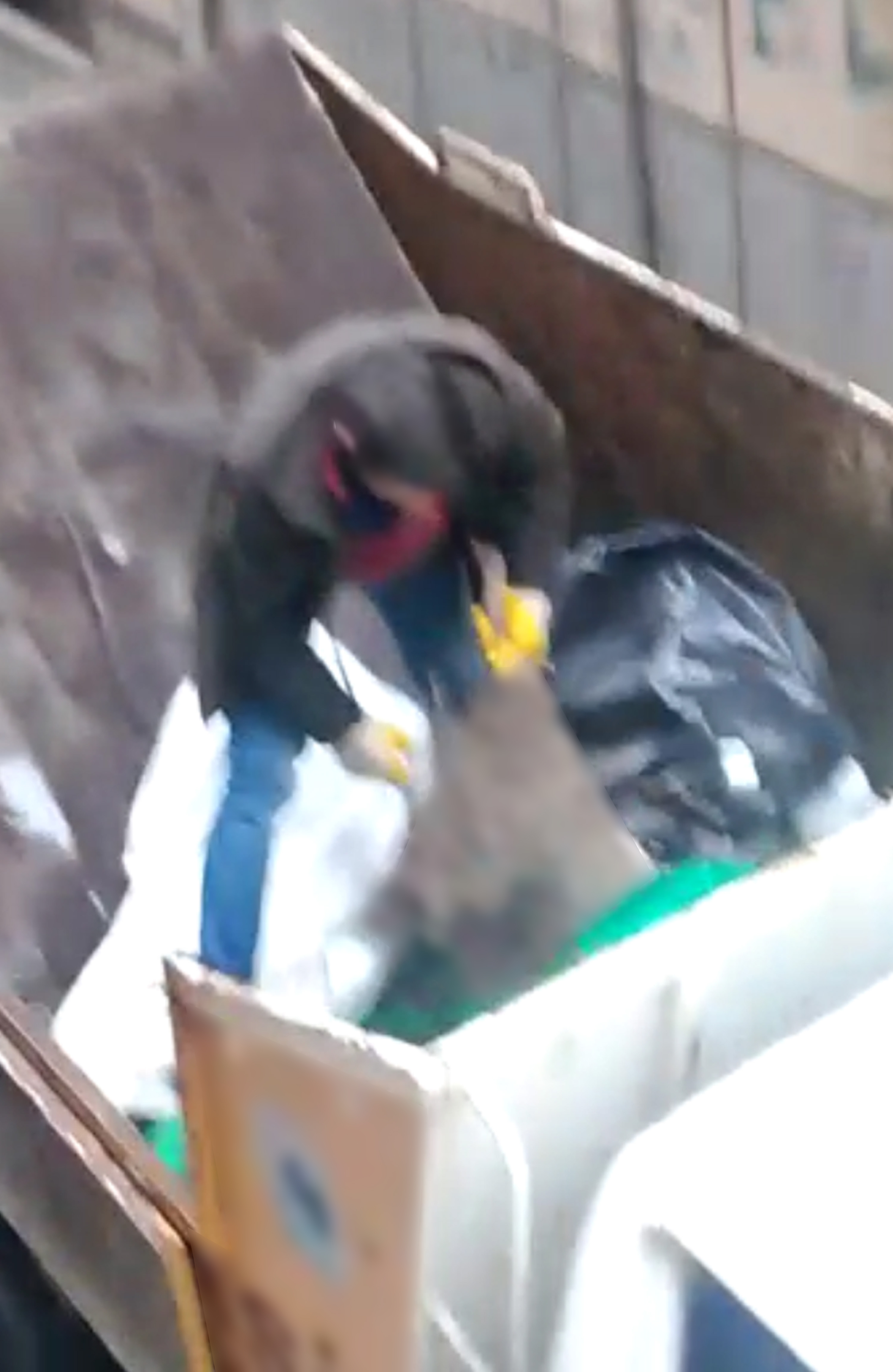 Trabzon'da feci olay! Köpeğin üzerine moloz dökmüşler