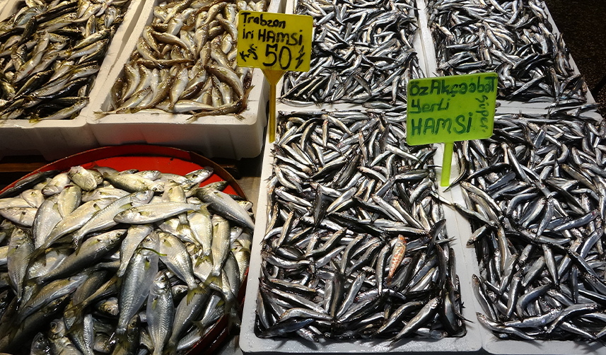 Trabzon'da-hava-muhalefeti-hamsi-fiyatını-ikiye-katladı