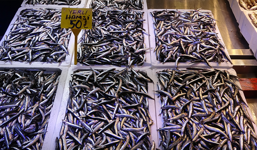 Trabzon'da-hava-muhalefeti-hamsi-fiyatını-ikiye-katladı