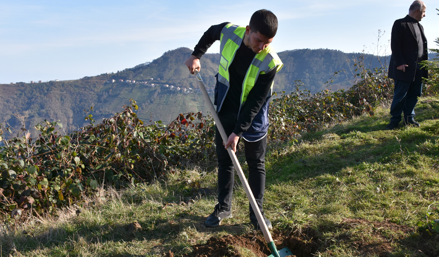 Trabzon'da-her-bebek-için-bir-fidan-toprakla-buluştu