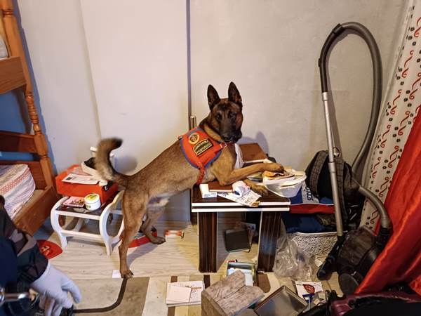 Trabzon'daki uyuşturucu operasyonunda bir kişi gözaltına alındı