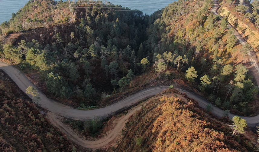 Uzmanlar-uyardı!-“Doğu-Karadeniz-için-yangın-sezonu-yaklaşıyor”-