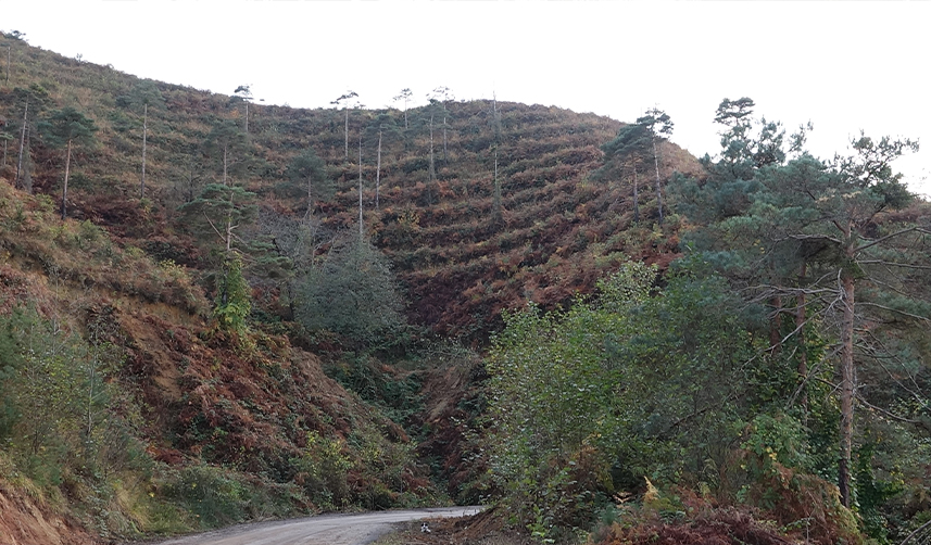 Uzmanlar-uyardı!-“Doğu-Karadeniz-için-yangın-sezonu-yaklaşıyor”-