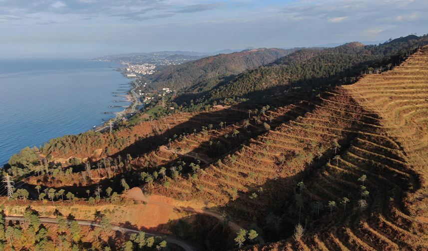 Uzmanlar-uyardı!-“Doğu-Karadeniz-için-yangın-sezonu-yaklaşıyor”-