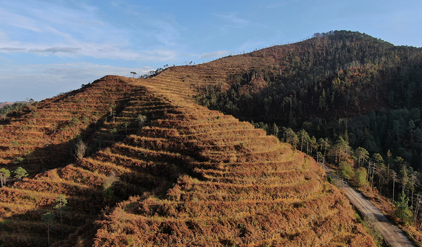Uzmanlar-uyardı!-“Doğu-Karadeniz-için-yangın-sezonu-yaklaşıyor”-