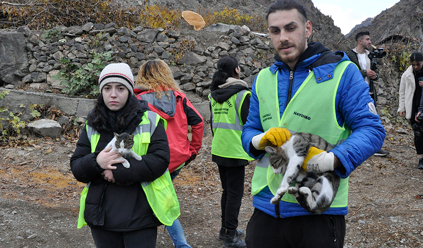 Yusufeli'nde sular altında kalacak yerlerdeki sokak hayvanları tahliye ediliyor