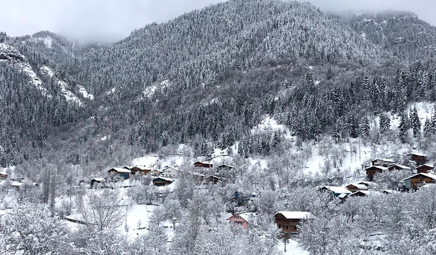 Artvin-beyaza-büründü
