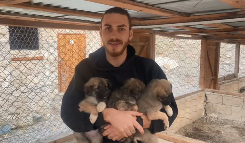 Artvin'de beton bloklarda mahsur kalan yavru köpekler, iş makinesiyle kurtarıldı