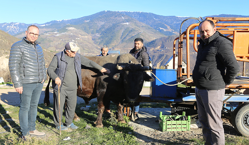 Artvin’de-heykeli-yapılan-şampiyon-boğaya--dudak-uçuklatan-ücret-ödendi