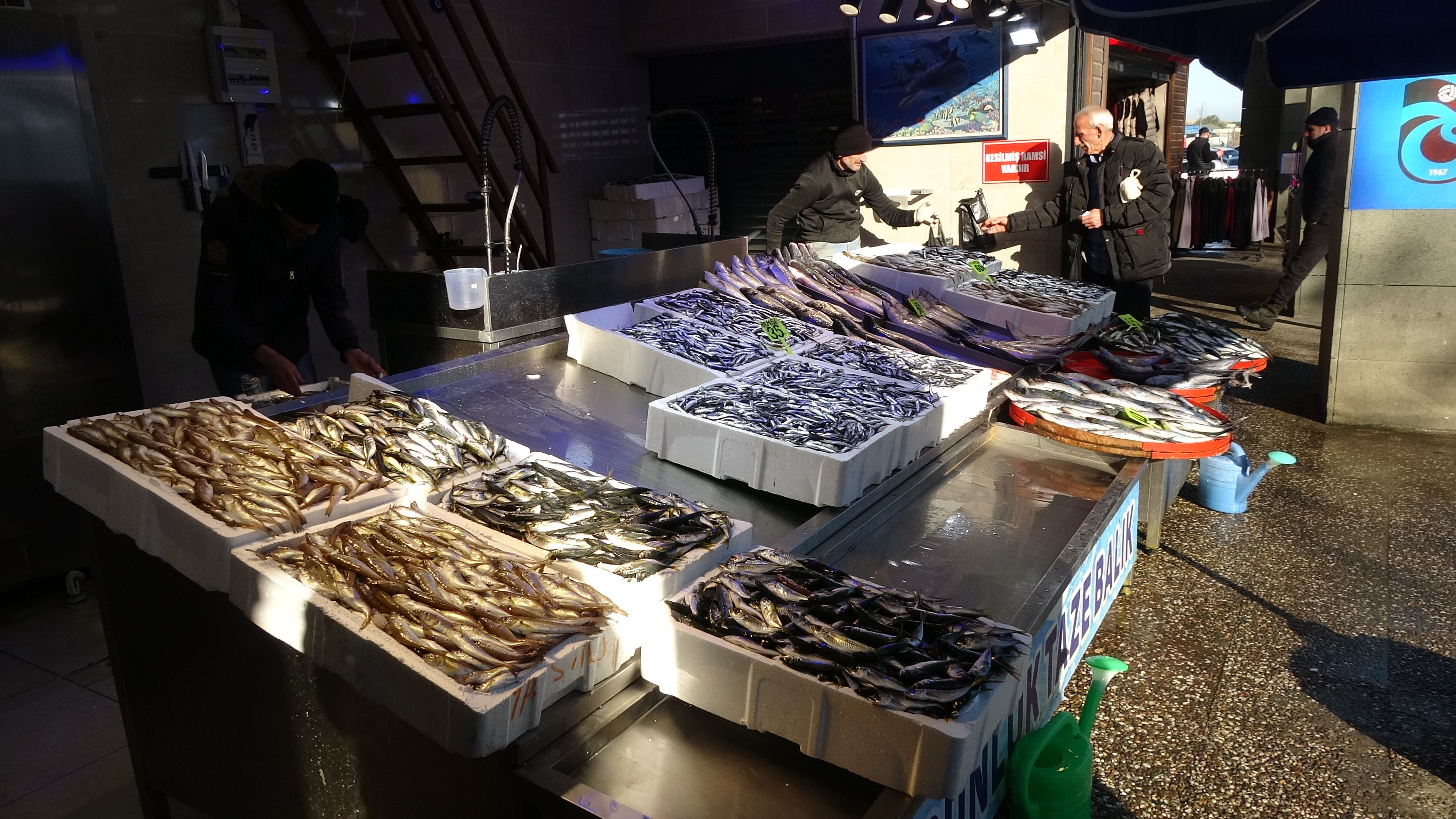 Trabzon'da ince hamsi 30 TL iri hamsi 60TL aralığında alıcı buluyor