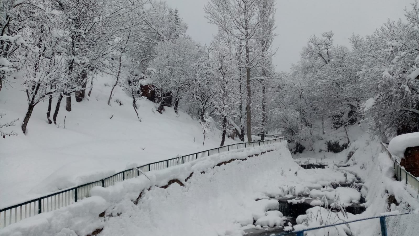 Artvin beyaz örtüyle kaplandı