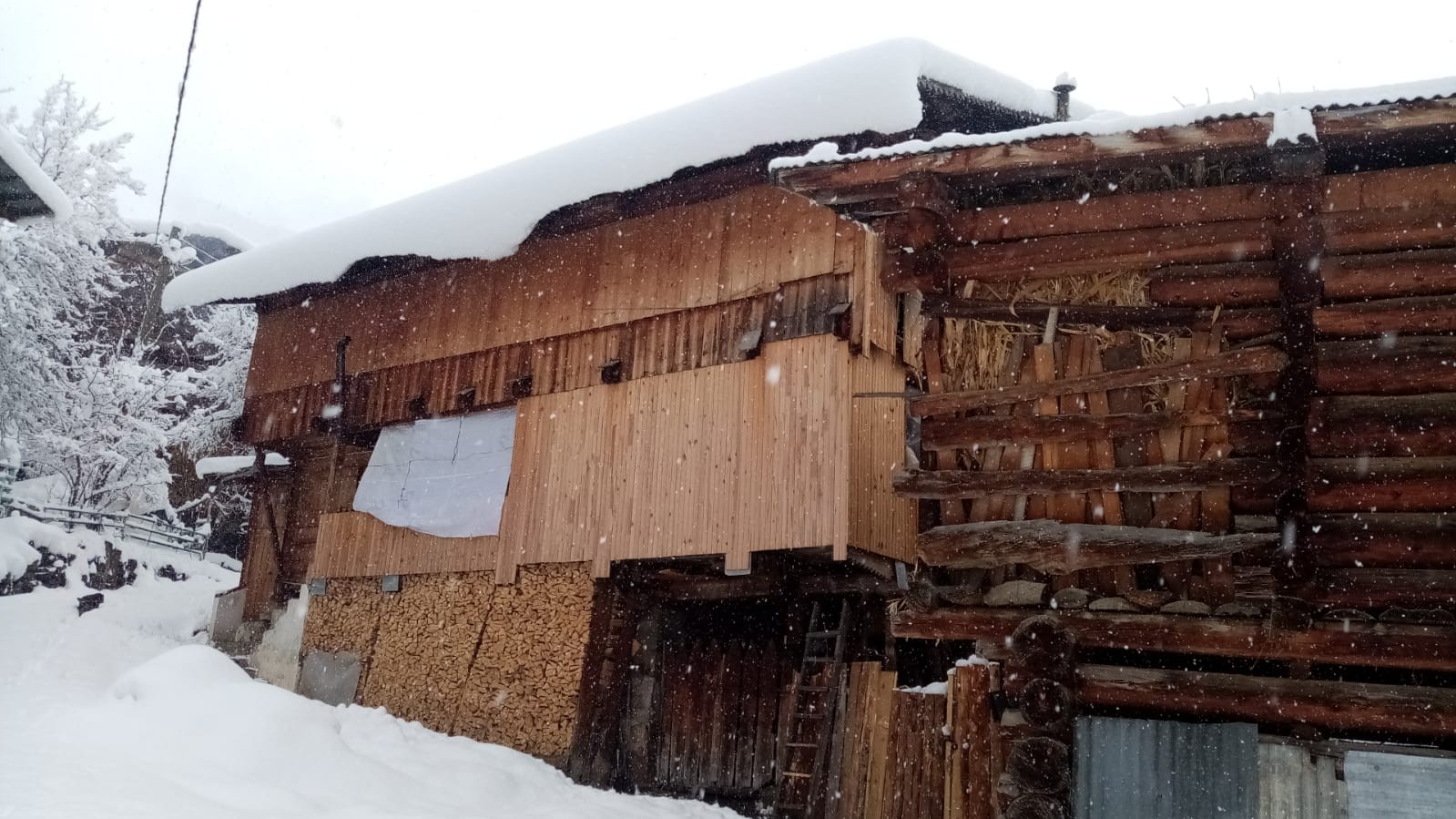 Artvin beyaz örtüyle kaplandı