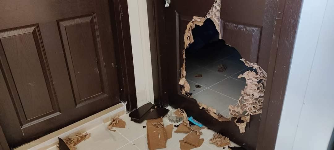 Trabzon'da bir ayı kış uykusuna yatmadı! Yayla evlerine dadandı