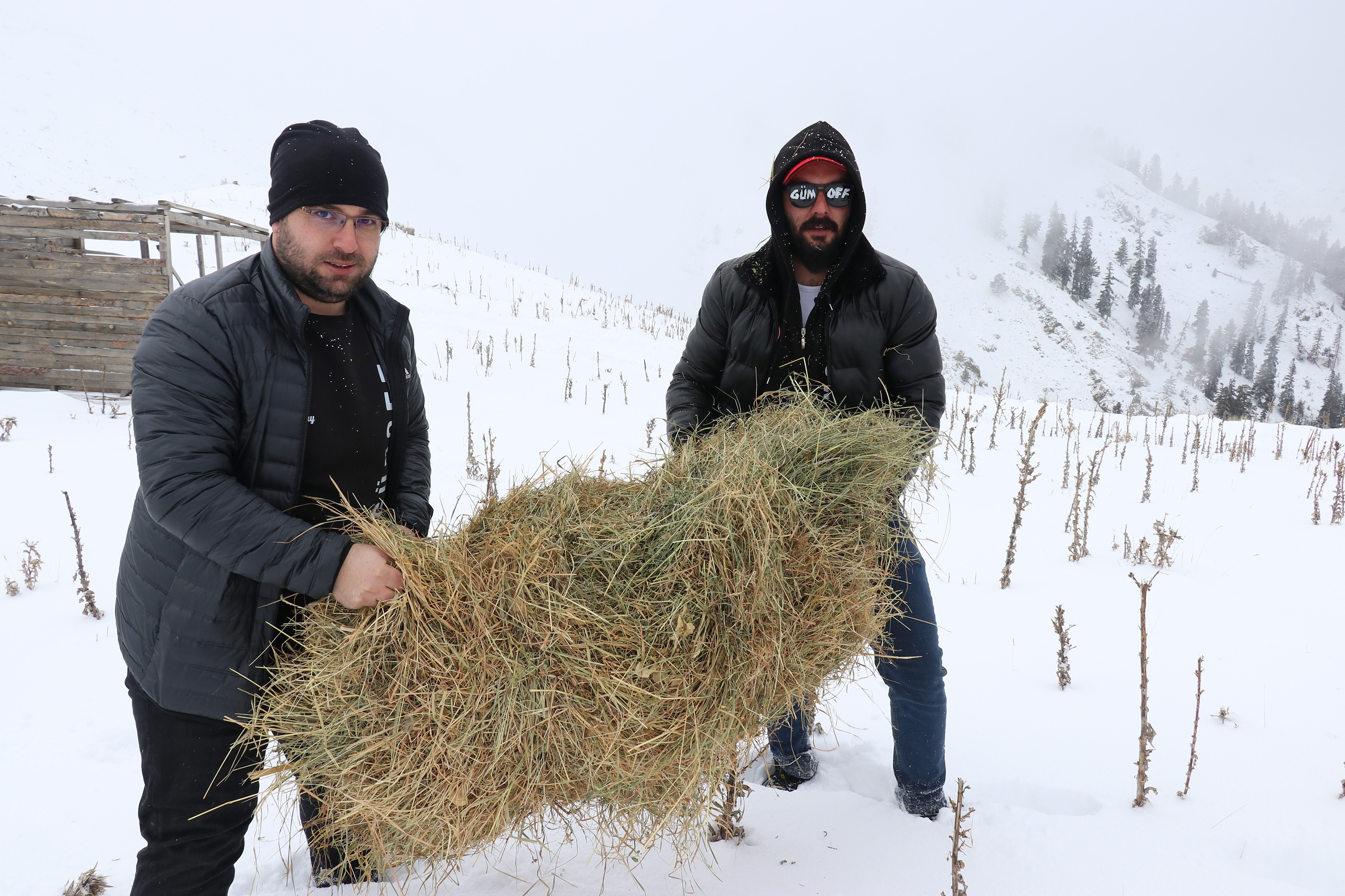 Gümüşhane'de yollar bu kez yaban hayvanları için aşıldı