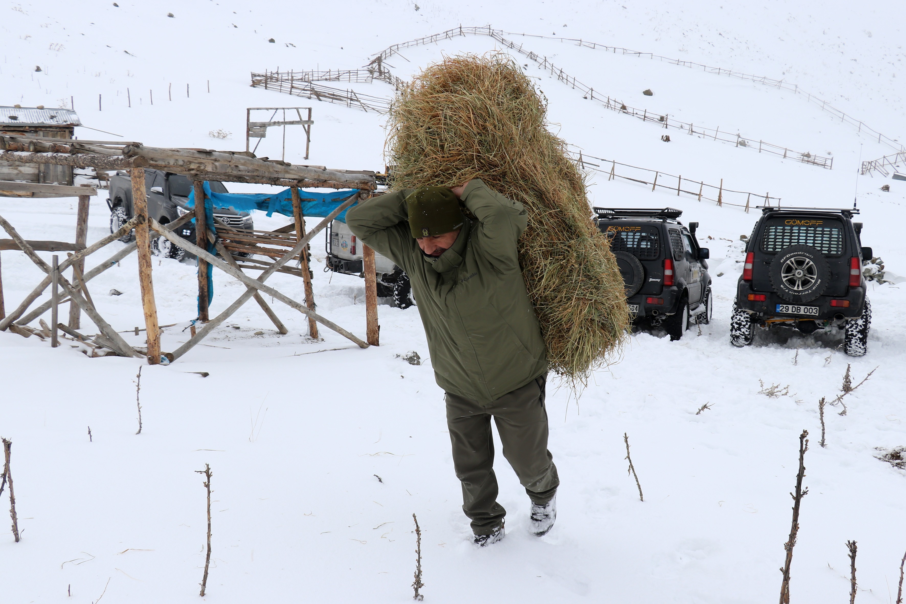 Gümüşhane'de yollar bu kez yaban hayvanları için aşıldı