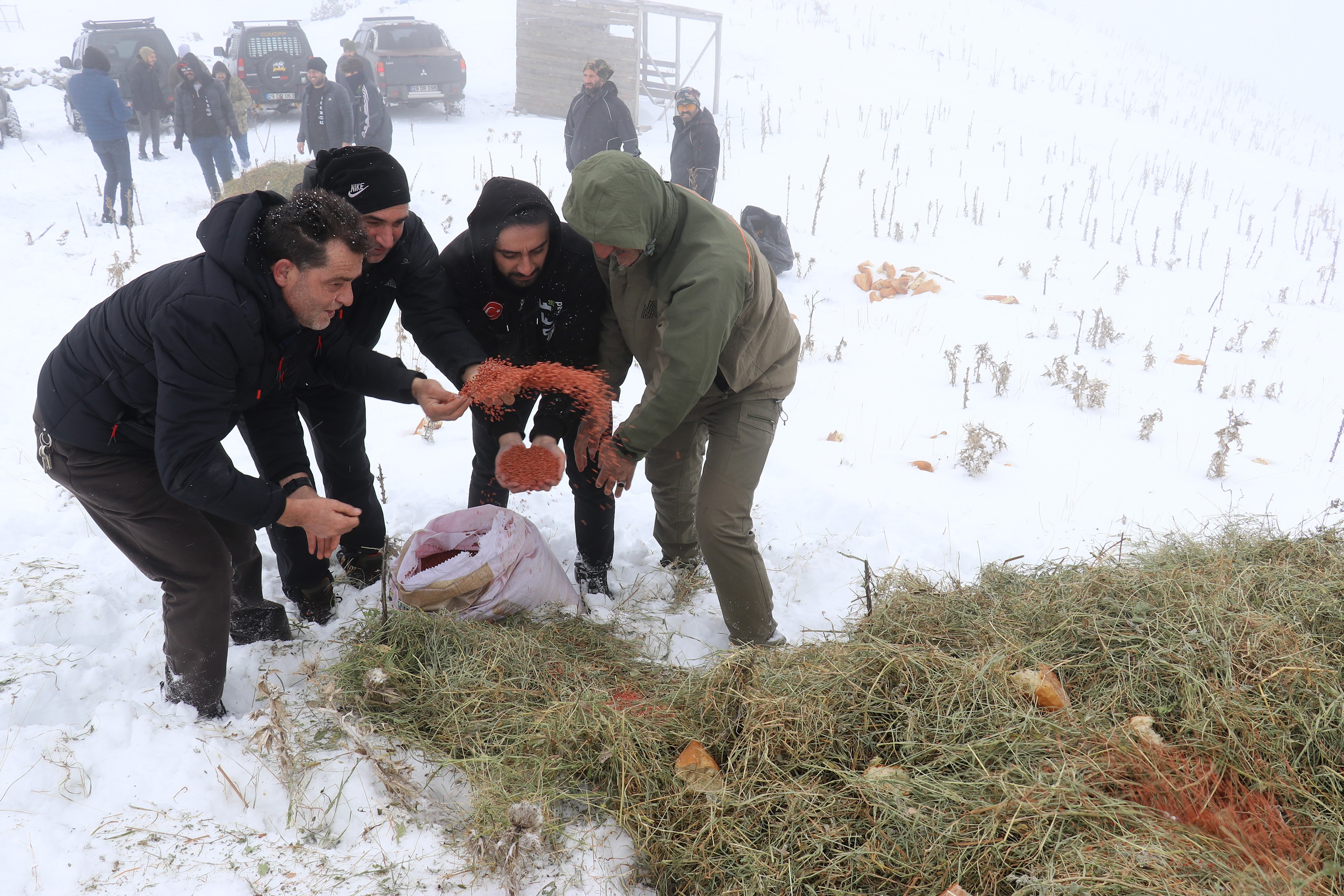 Gümüşhane'de yollar bu kez yaban hayvanları için aşıldı
