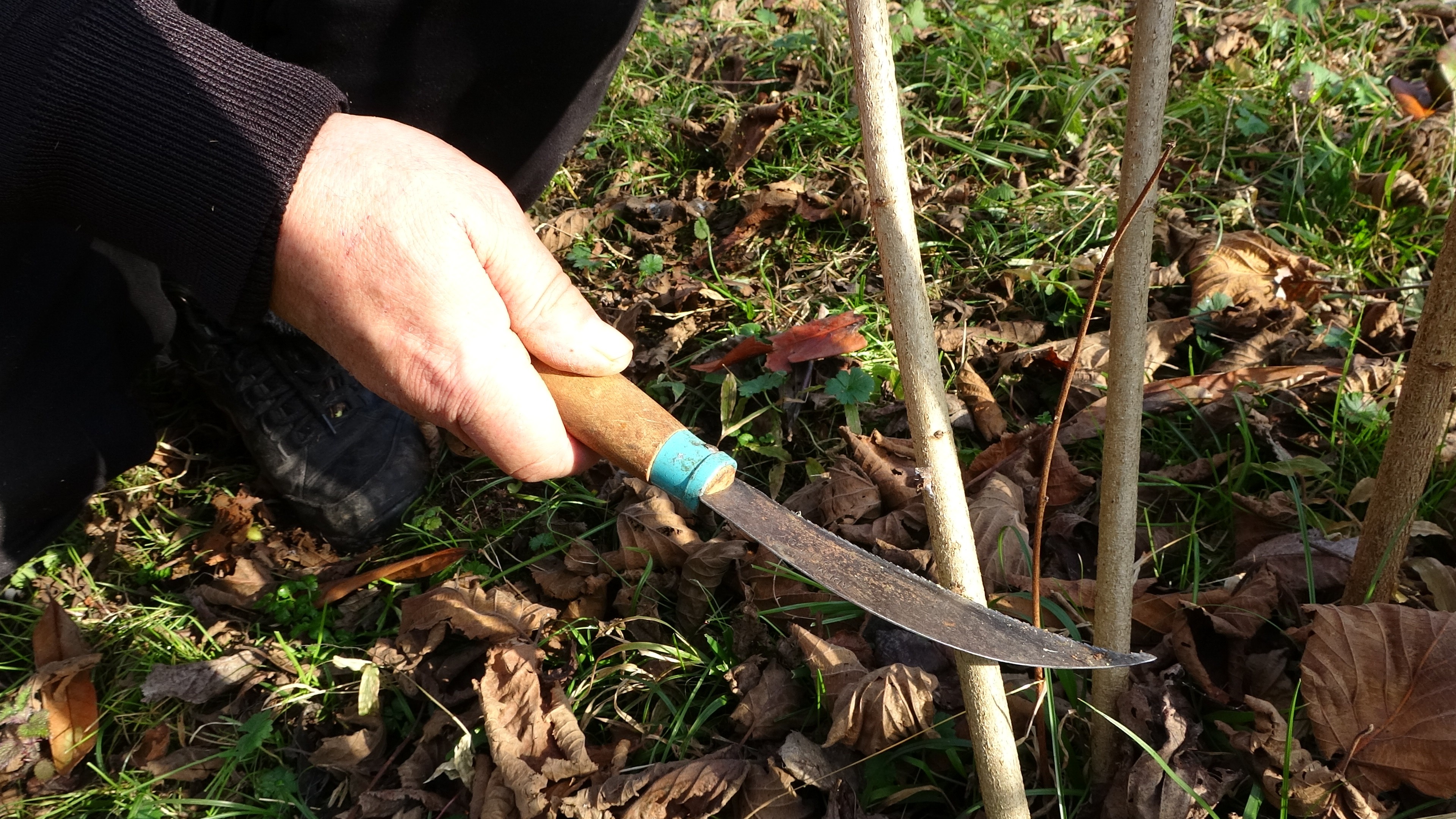 Ordu'da fındık üreticilerinin kışlık bakım mesaisi sürüyor