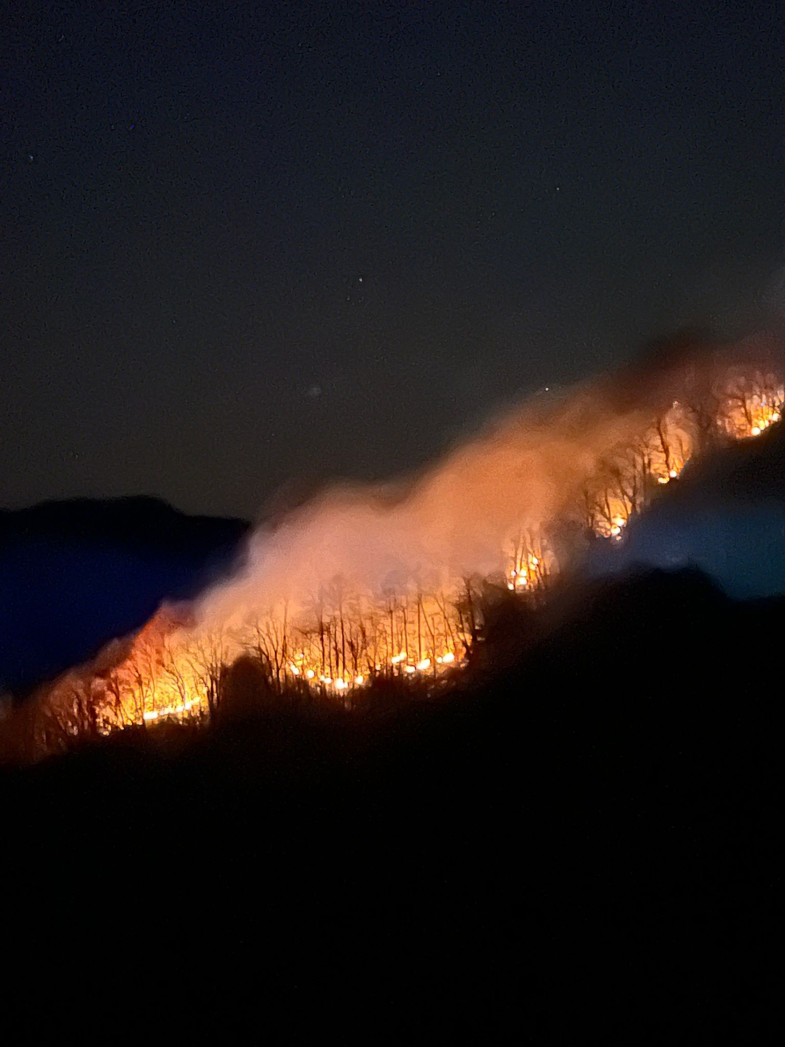 Rize'de örtü yangını! Ekipler seferber oldu
