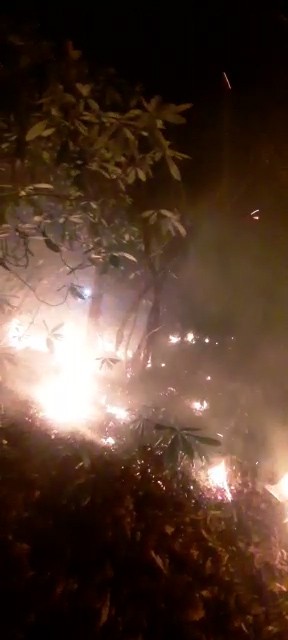 Rize'de örtü yangını! Ekipler seferber oldu