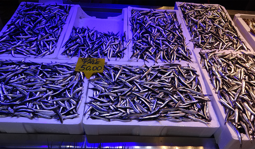 Bolca avlanan hamsi Trabzon'da balıkçıları sevindirdi