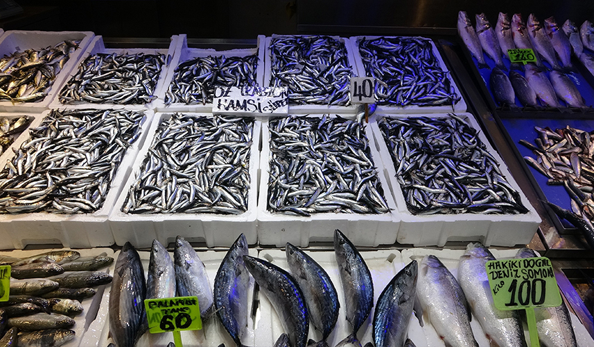 Bolca avlanan hamsi Trabzon'da balıkçıları sevindirdi