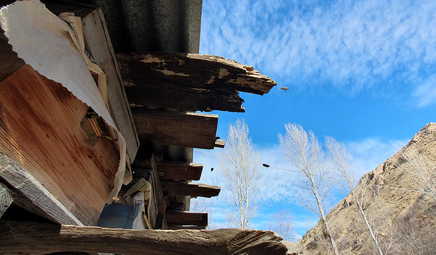 Gümüşhane'de kuraklık dengeleri değiştirdi