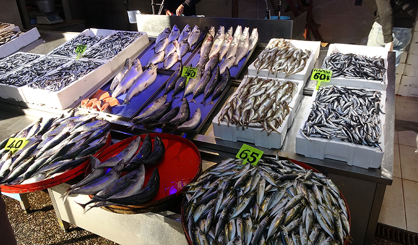 Trabzon'da ince hamsi 30 TL iri hamsi 60TL aralığında alıcı buluyor