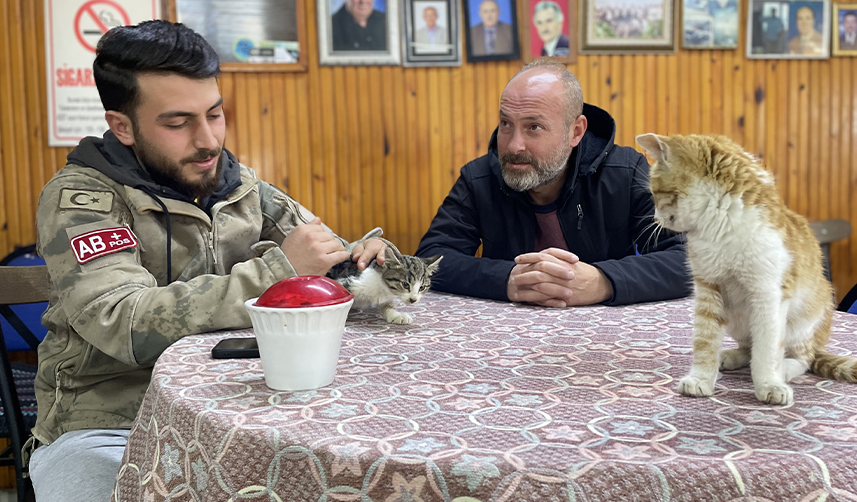Hıdırnebi-Yaylası'nda-kediler-üşümesin-diye-her-gün-soba-yakıyor