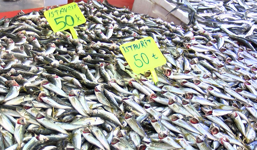 Karadeniz’de istavrit tezgahlara geri döndü